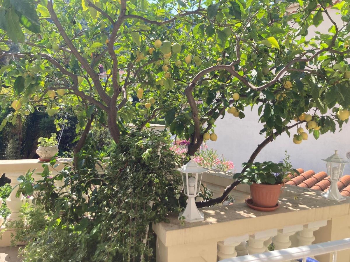 Studio Villa La Cigale Avec Grande Terrasse Menton Luaran gambar